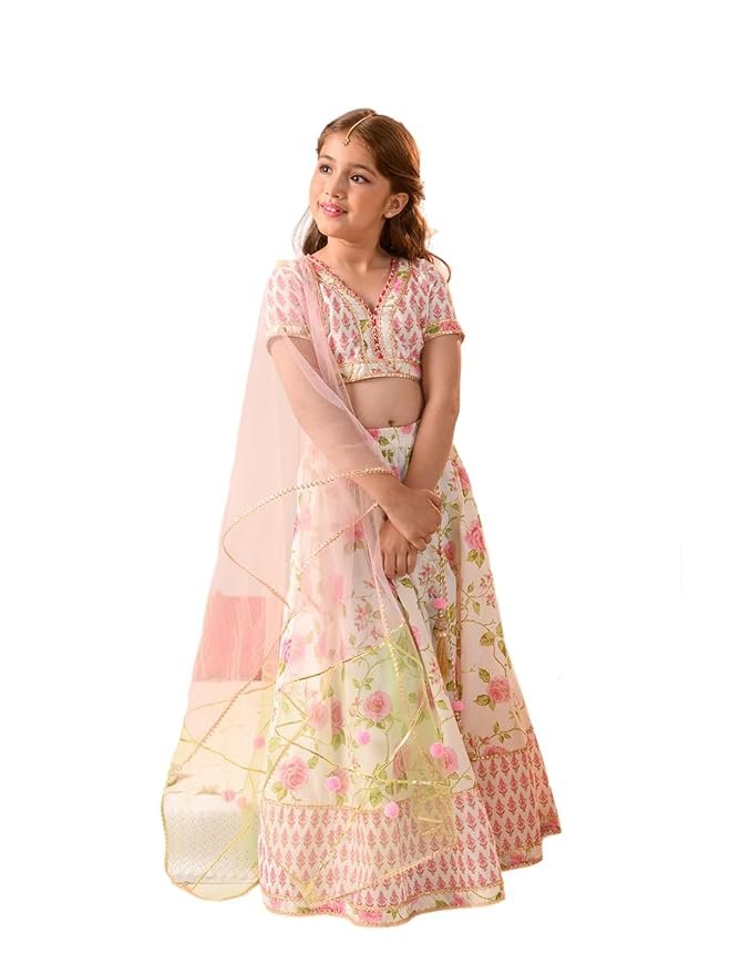 Lehenga Cholis